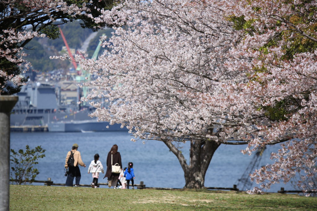 干尽公園の桜と軍艦