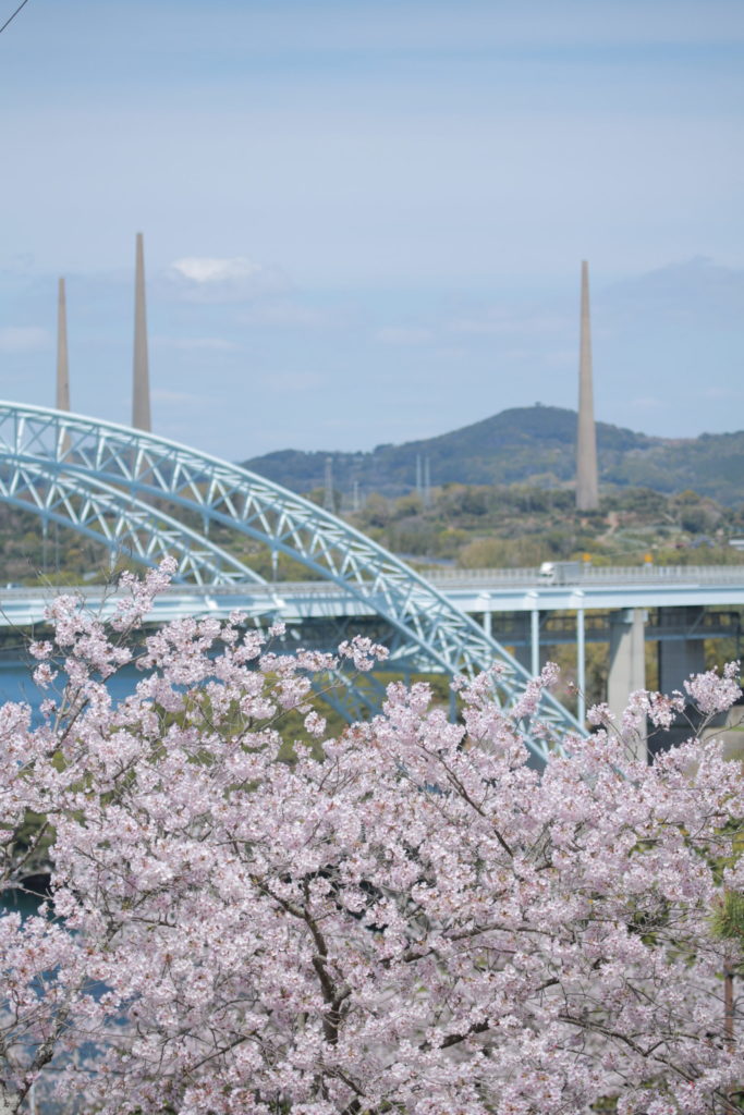 桜と第2西海橋と針尾無線塔