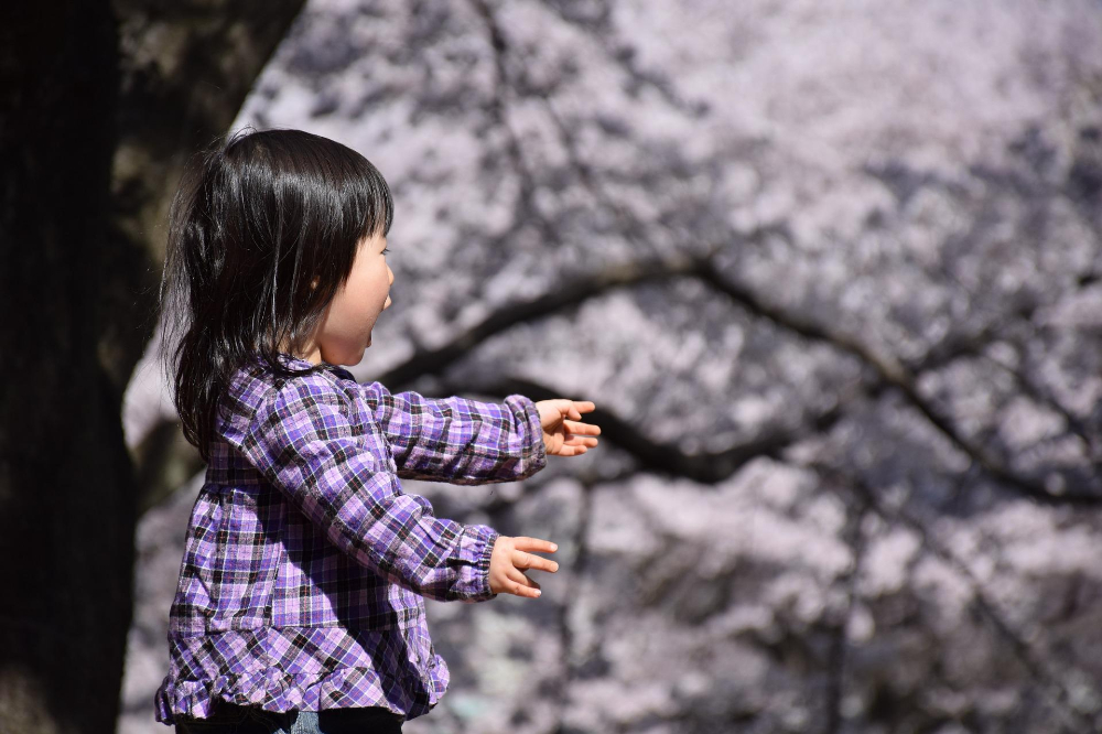 桜の下で遊ぶ女の子