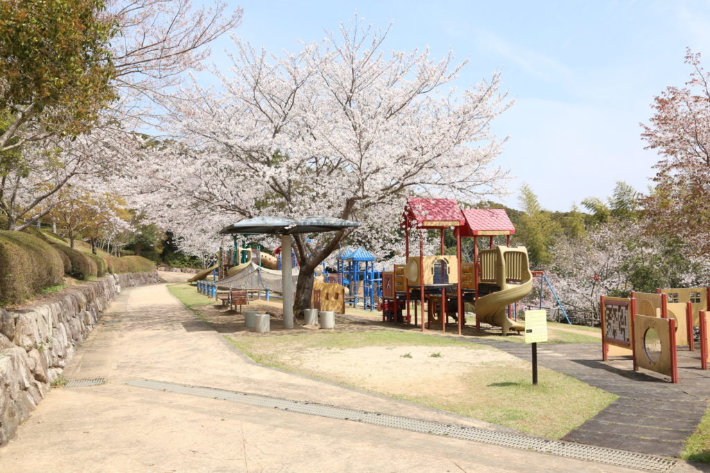 波佐見・鴻ノ巣公園の桜1