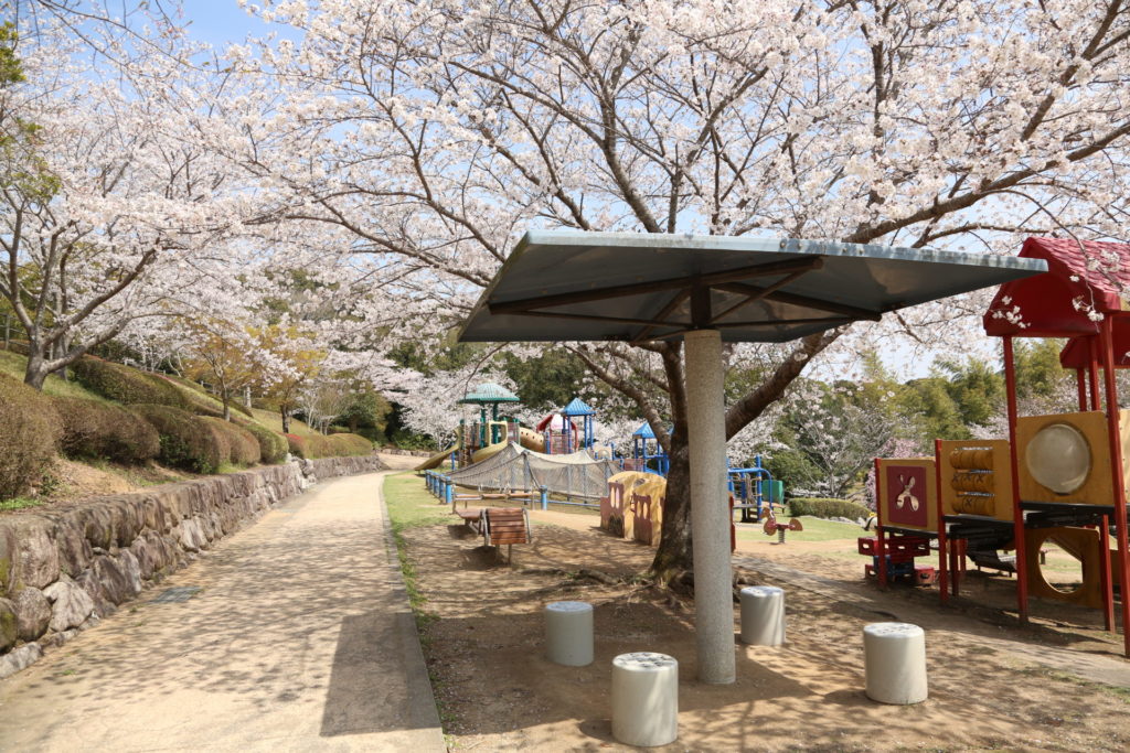 波佐見・鴻ノ巣公園の桜3