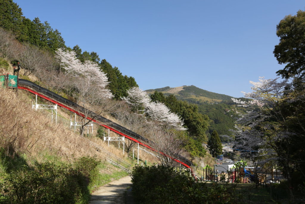 佐々・皿山公園の桜