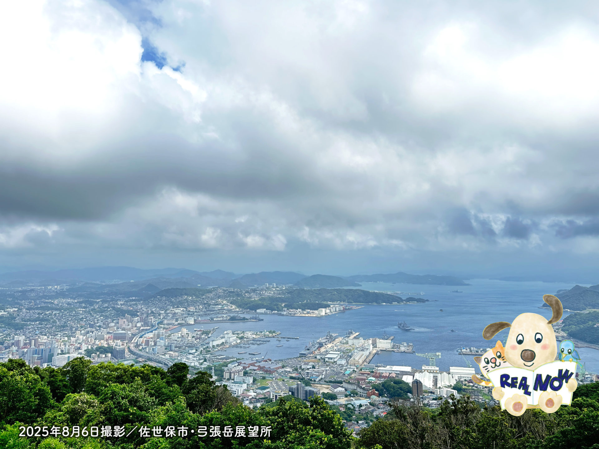 リアルナウ2025年8月号アイキャッチ