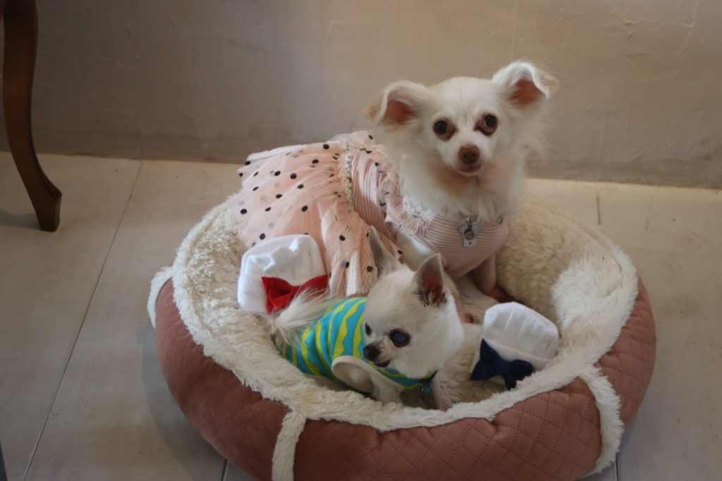 リンクカフェ　店内３