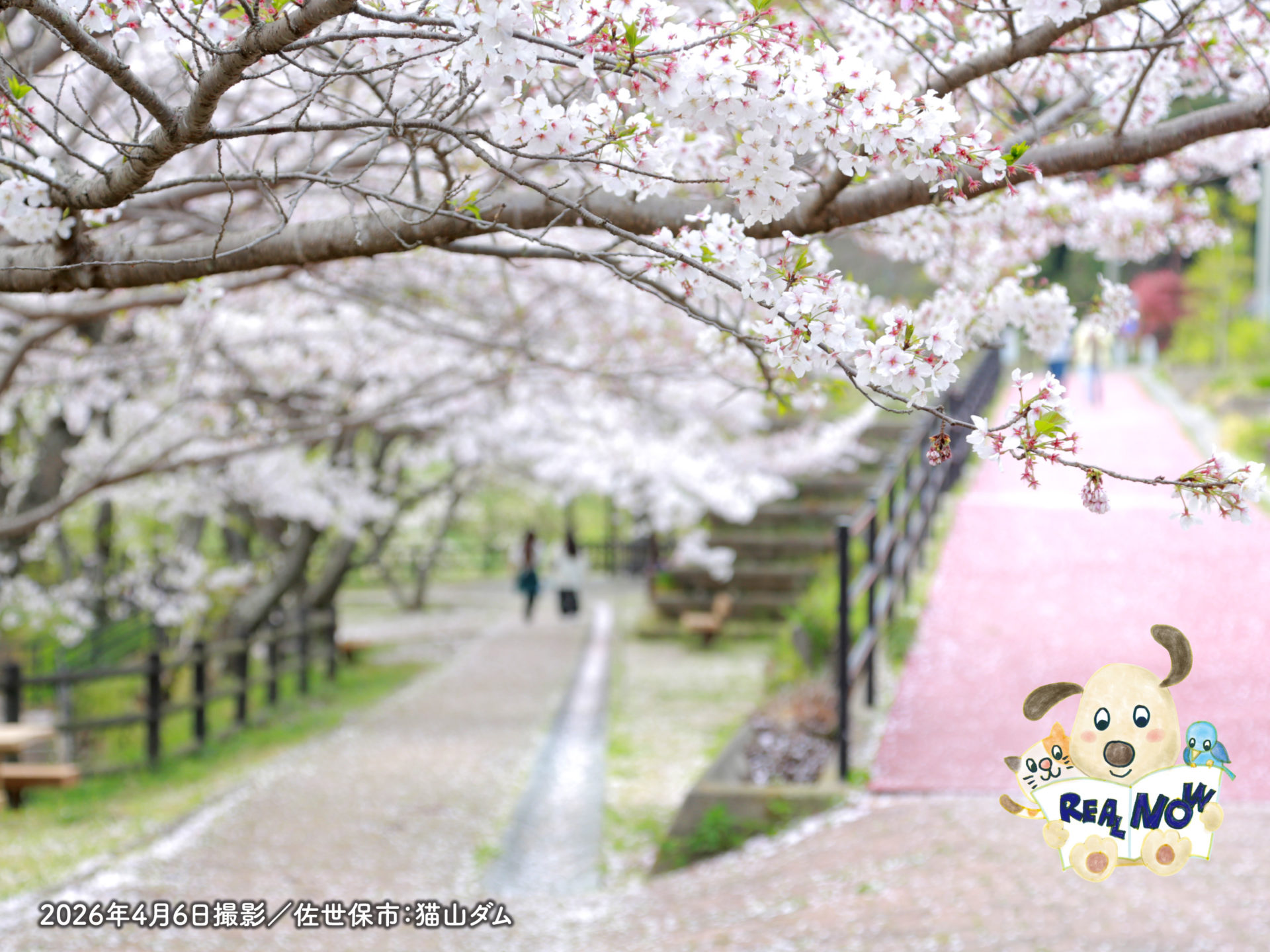 リアルナウ2026年4月号アイキャッチ